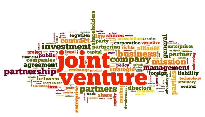 Joint-Ventures